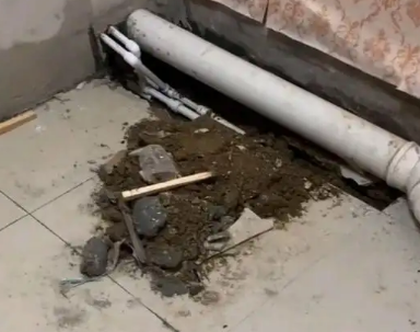 白山市卫生间漏水检测哪家好