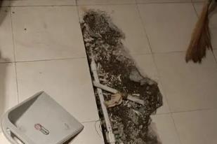 白山市卫生间漏水检测电话